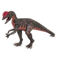 دایناسور دیلوفوسور Terra, تنوع: AN4043Z-Dilophosaurus, image 6