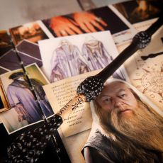 چوب دستی آلبوس دامبلدور, تنوع: SD50003-Albus Dumbledore, image 5