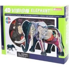 پک ساخت آناتومی بدن فیل, تنوع: 622037-Elephant, image 5