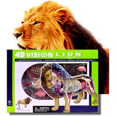 پک ساخت آناتومی بدن شیر, تنوع: 622036-Lion, image 7