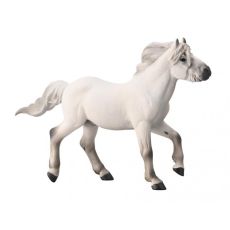 اسب یاکوتی سفید, image 