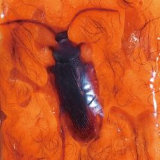 اسلایم پشمالو مدل نارنجی Oosh Hairy Slime سری 330 گرمی, image 6