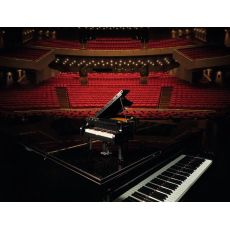 لگو آیدیاز مدل گرند پیانو (21323), image 16