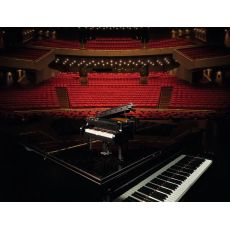 لگو آیدیاز مدل گرند پیانو (21323), image 17