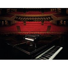لگو آیدیاز مدل گرند پیانو (21323), image 18