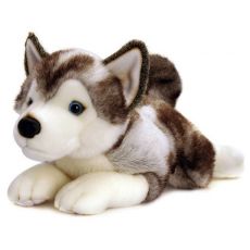 عروسک پولیشی 25 سانتی سگ هاسکی STORM HUSKY, image 
