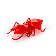 مورچه رباتیک HEXBUG مدل قرمز, تنوع: 6068869-Micro Ant Red, image 6