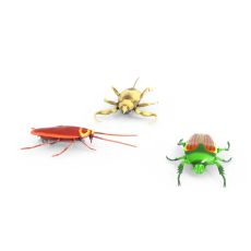 پک سه تایی حشرات رباتیک HEXBUG, image 4