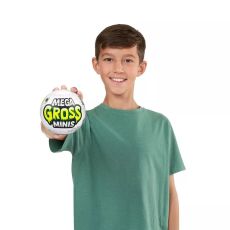 فایو سورپرایز سری Mega Gross Minis, image 3