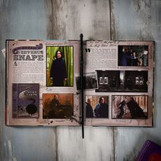 چوب دستی پروفسور سوروس اسنیپ, تنوع: SD50003-Severus Snape, image 2