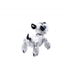 سگ رباتیک پاپبو Pupbo, image 5