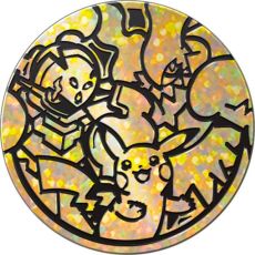 آکادمی مبارزات 2024 Pokemon, image 9
