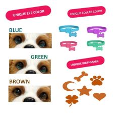 پچز هاپو کوچولوی Little Live Pets, تنوع: Patches-26548, image 9