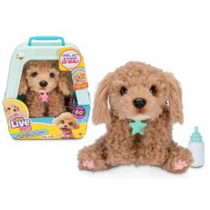 کرلی هاپو کوچولوی Little Live Pets, تنوع: 26612-Curly, image 
