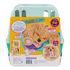 کرلی هاپو کوچولوی Little Live Pets, تنوع: 26612-Curly, image 13