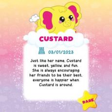 عروسک اسکوییشی 19 سانتی Smooshzees مدل Custard سری Large Snugzees, تنوع: 08104-Custard, image 14