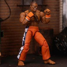 فيگور 15 سانتي دی جی سری Street Fighter, تنوع: 253252034-Dee Jay, image 5
