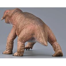 پلاسریاس, image 3