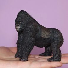 گوریل کوهی, image 4