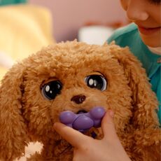 لابرادودل هاپو رباتیک Baby Paws, image 8