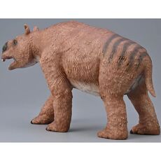 دیپروتودون, image 6