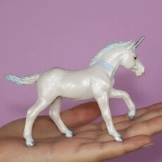 کره اسب تک‌شاخ آبی, image 3