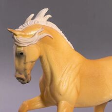 اسب نر اصیل اسپانیایی اندلسی ابرش, image 5