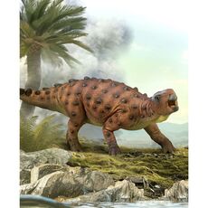استوگوروس با مقیاس 1:6, image 3