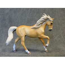 اسب نر اصیل اسپانیایی اندلسی ابرش, image 3