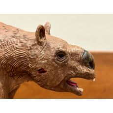 دیپروتودون, image 3