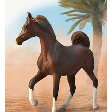 اسب ماده عربی کُرَنگ, image 6