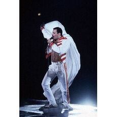 فیگور 9 سانتی فانکو پاپ فردی مرکوری (414), image 4