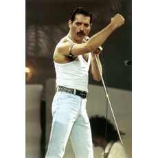 فیگور 9 سانتی فانکو پاپ فردی مرکوری (183), image 4