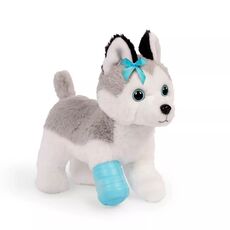 کیف مراقبت از حیوانات پوچی پاپس Pucci Pups به همراه هاسکی پولیشی, image 2