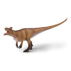 میپ ماکروتوراکس با فک متحرک - مقیاس 1:40, image 