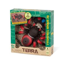 عنکبوت قرمز کنترلی Terra, تنوع: AN2842Z-Red, image 9