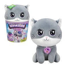 عروسک وینکیز Winksies مدل بلوبری کیتی, تنوع: 89025-Blueberry, image 