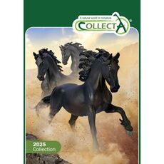 کاتالوگ 2025 Collecta, image 