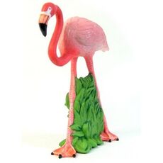 فلامینگو, image 