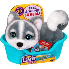 آئورورا هاپو کوچولوی رباتیک Little Live Pets, تنوع: 26648-Aurora, image 