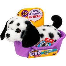 پیپر هاپو کوچولوی رباتیک Little Live Pets, تنوع: 26651-Pepper, image 