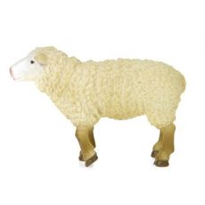 گوسفند, image 2