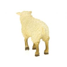 گوسفند, image 4