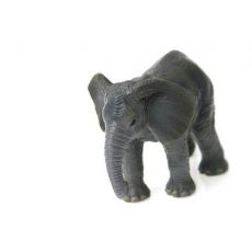 بچه فیل آفریقایی, image 3