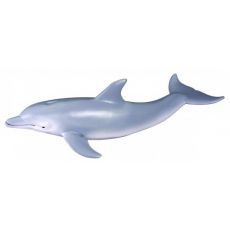 دلفین پوزه‌بطری, image 