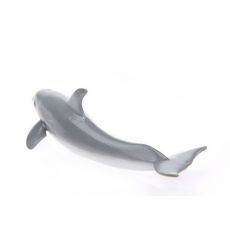 دلفین پوزه‌بطری, image 4
