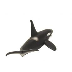 نهنگ قاتل, image 4