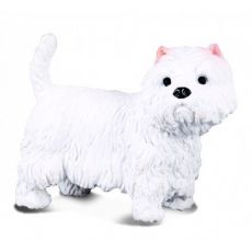 سگ وست هایلند سفید, image 