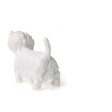 سگ وست هایلند سفید, image 4