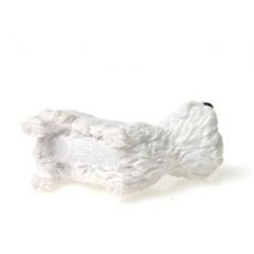 سگ وست هایلند سفید, image 5